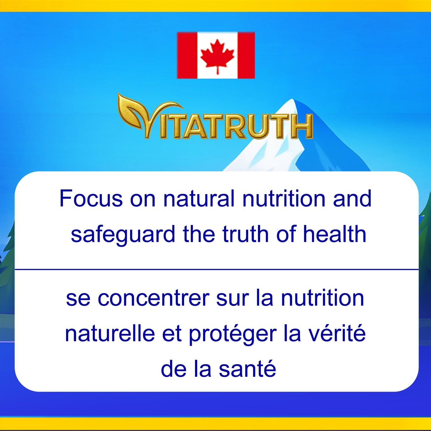 Vitatruth Premium Kids Seal Oil Softgels – Natural Orange Flavor (120 Count)