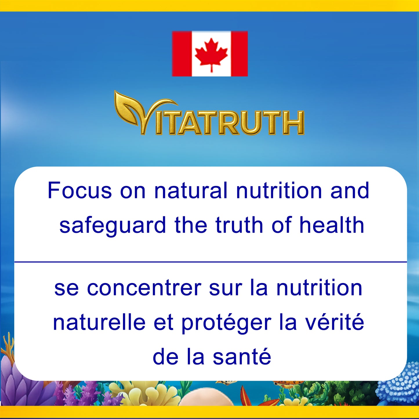 Vitatruth Omega 3 Fish Oil 1000mg – EPA 180mg / DHA 120mg (300 Softgels)
