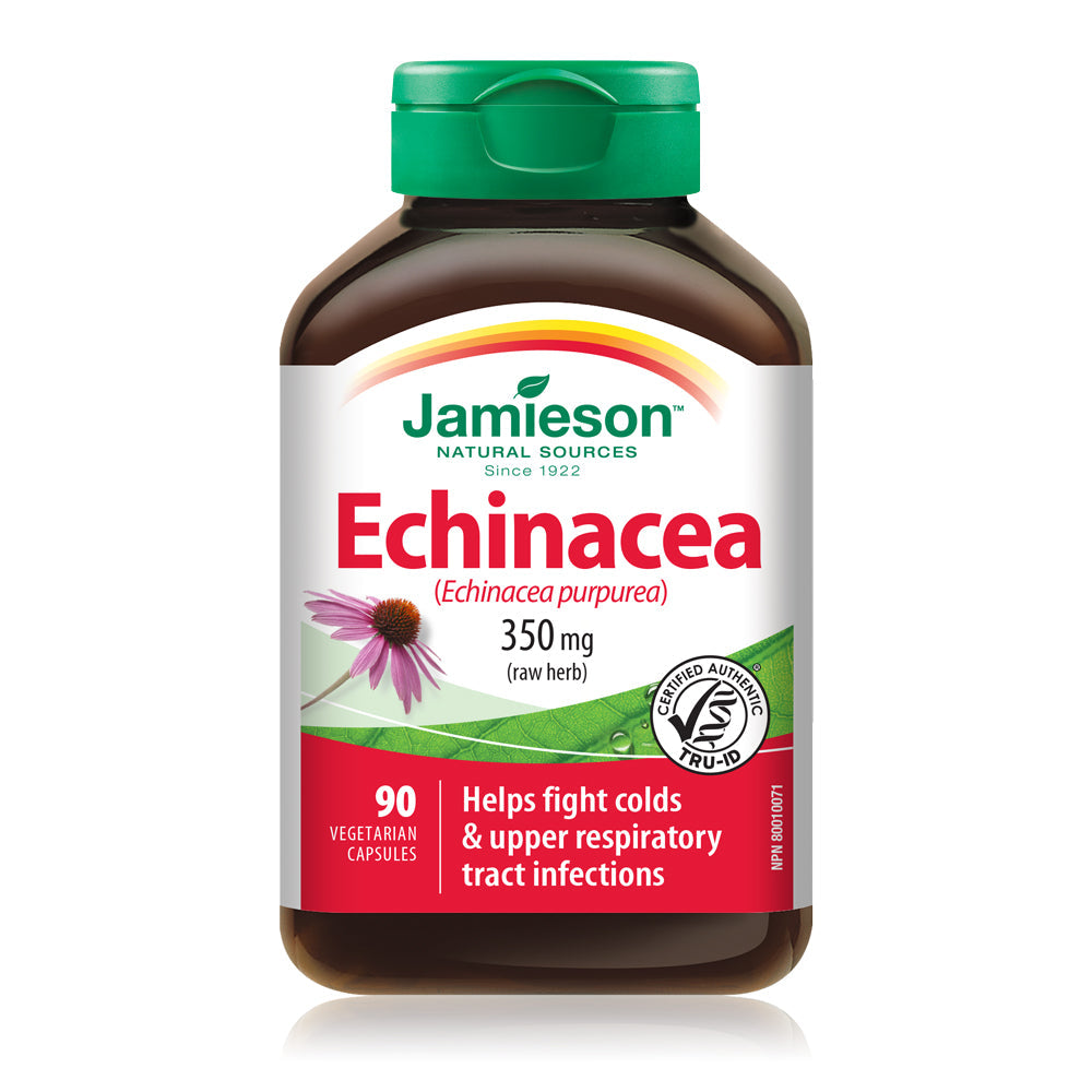 Echinacea